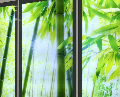Fake window with bamboo motif in a hospital.